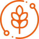 JARDINERÍA